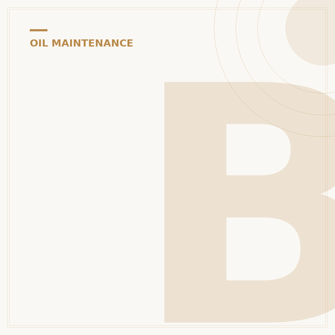 Best Oil Filter for 2004 Ford Taurus: 1 Essential Choice