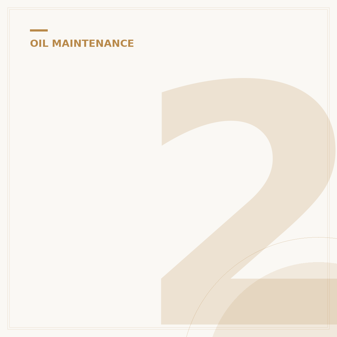2007 Ford Explorer Oil Filter: Top 3 Choices for Peak Performance