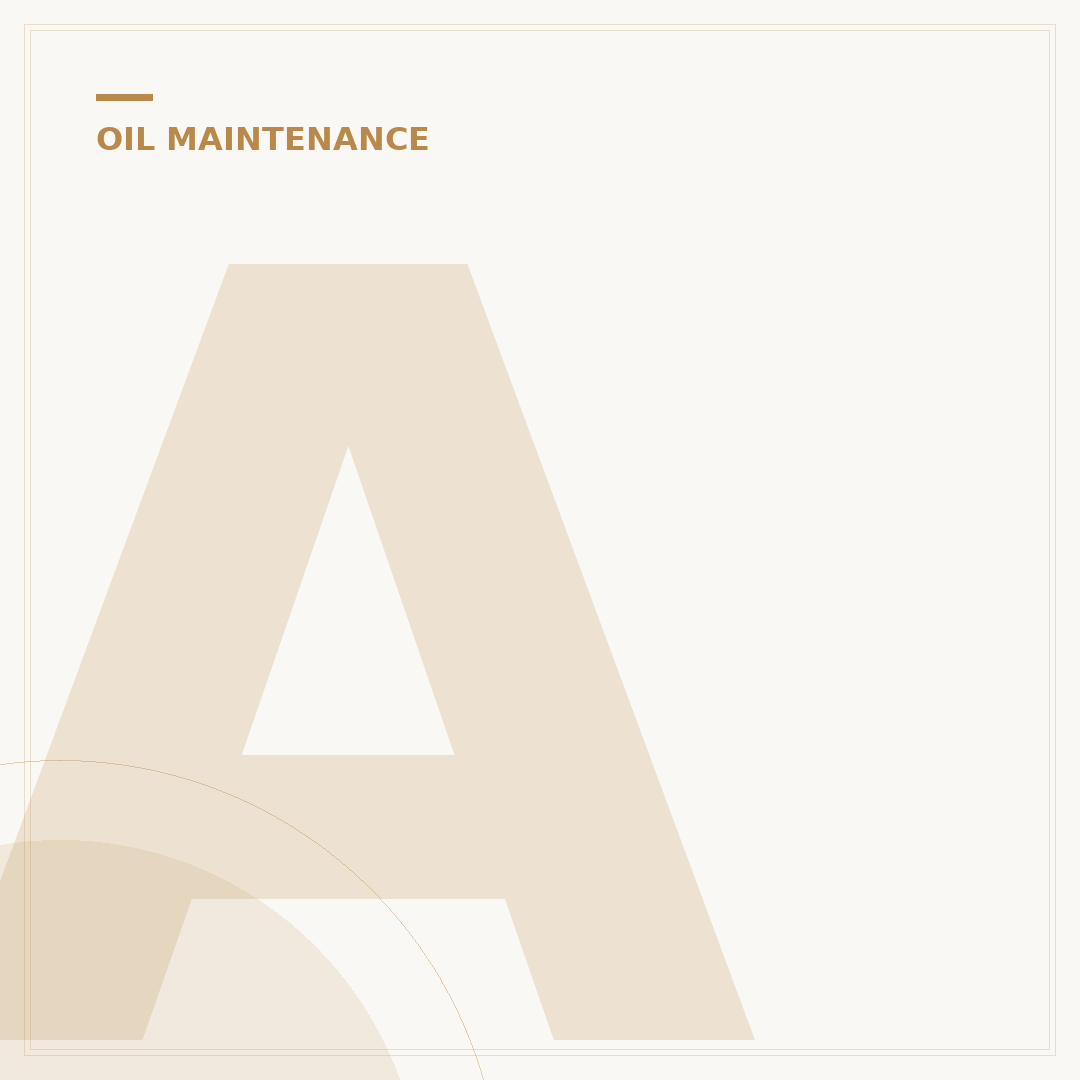 Anti Drain Back Valve Oil Filter: 5 Signs Your Engine Needs One