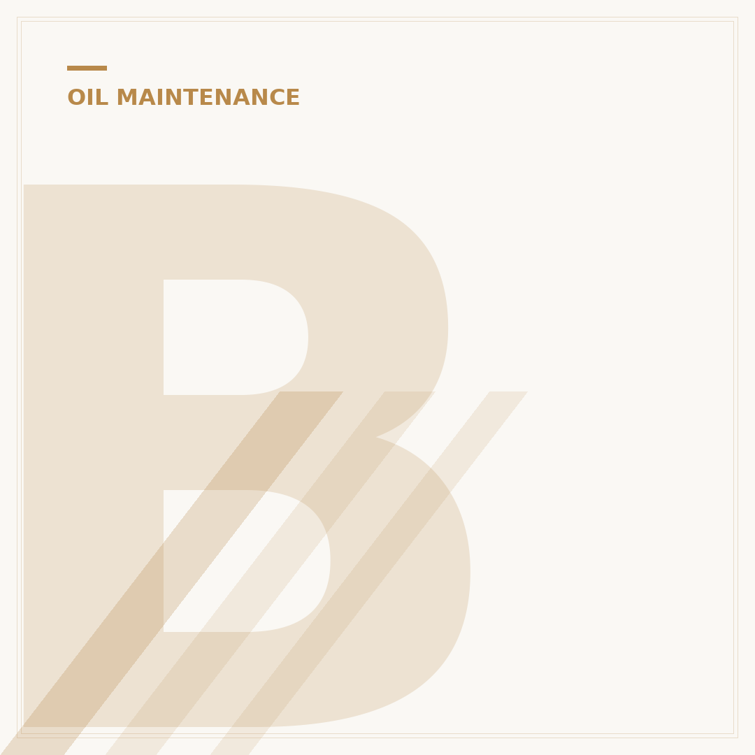 Benelli 302 Oil Filter: Your 5-Minute Maintenance Guide