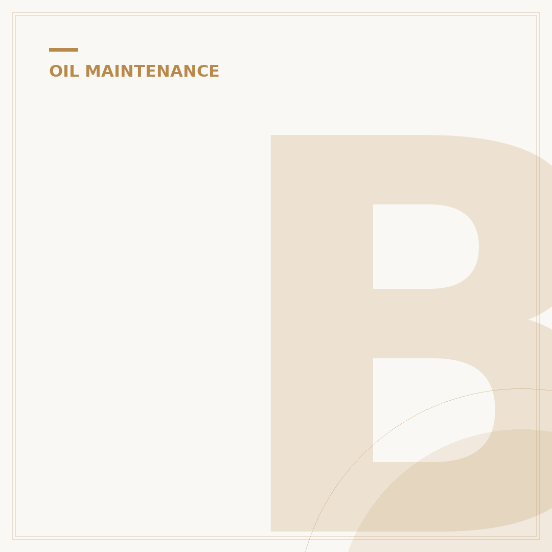 Best Oil Additive to Clean Engine: Top 5 Picks for 2024