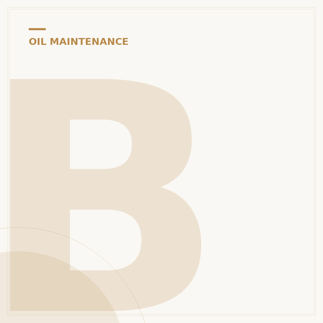 Best Oil Filter Brands: Top 5 for Engine Longevity