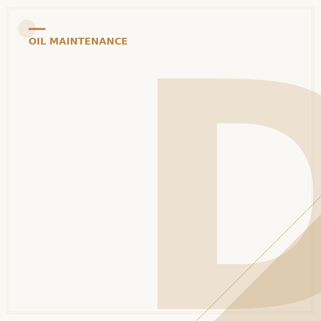 Does Big O Do Oil Changes? Your 5-Minute Guide
