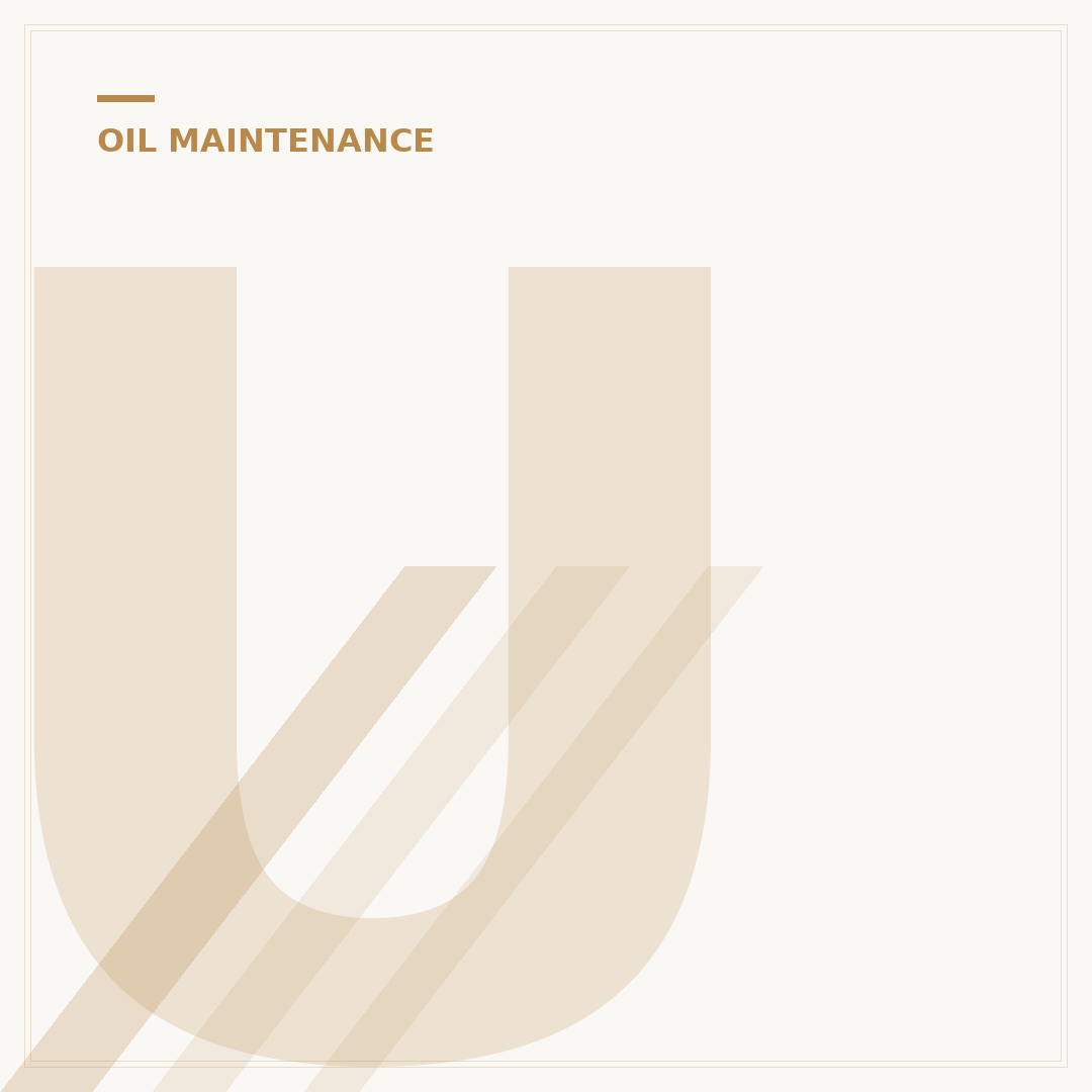 Understanding Bypass Oil Filter Systems: A 5-Point Guide