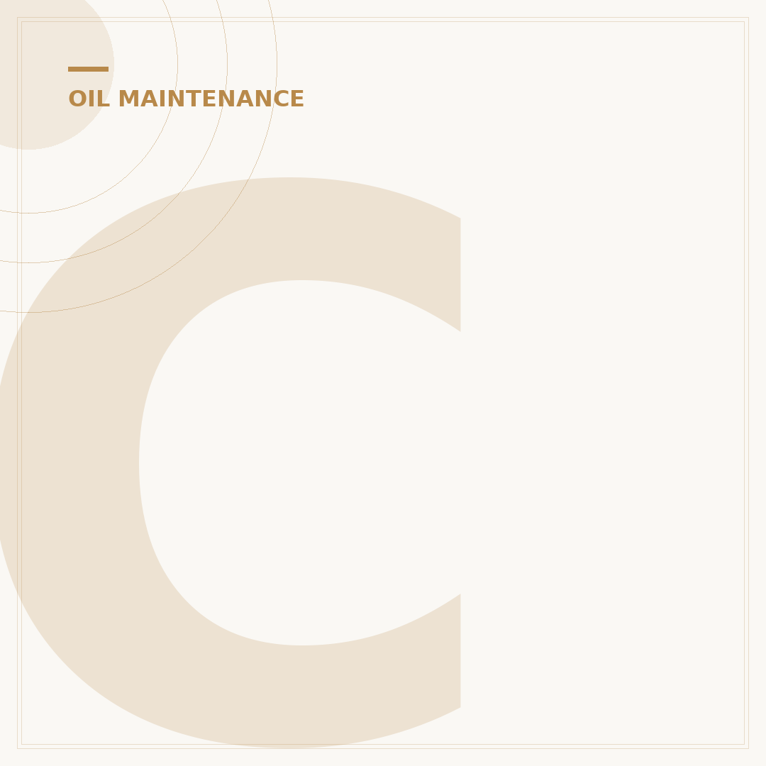 Chrome Oil Filters for Harley-Davidson: Fitment and Care