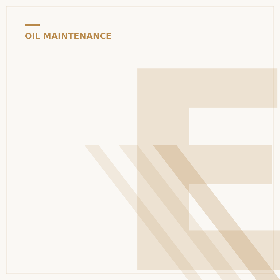 E46 Oil Filter: Your 3-Step Guide to a Cleaner Engine
