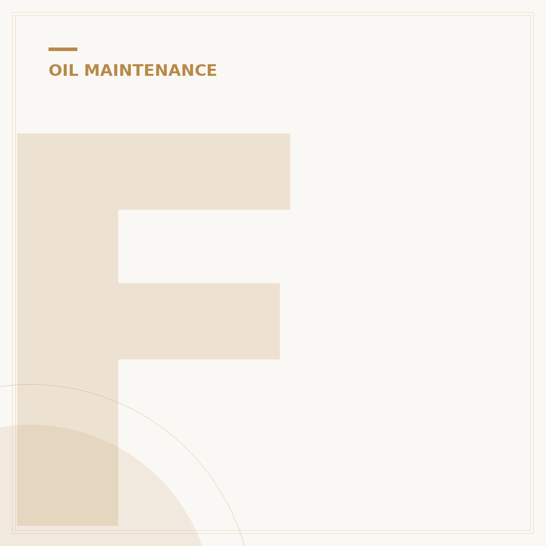 Freshen Your Ride: 5 Essential Oils on Air Filter Uses