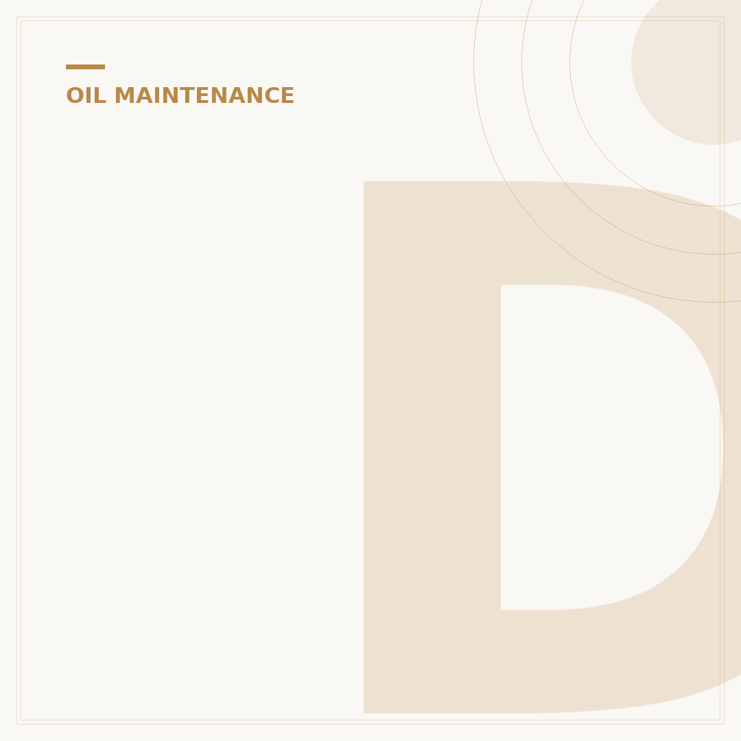 Do EVs Need Oil Changes? Your 2024 Quick Guide