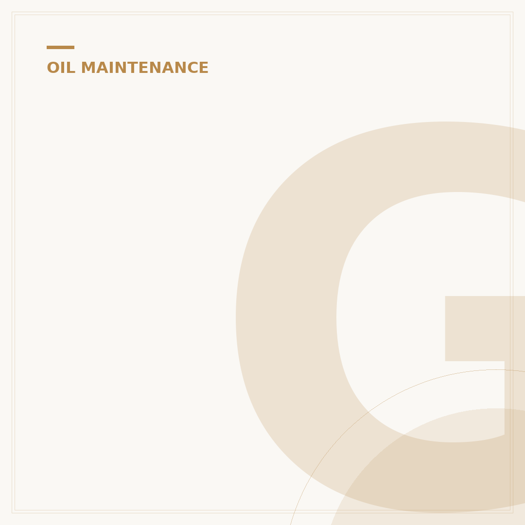 GR Corolla Oil Filter: Your 5-Point Maintenance Guide
