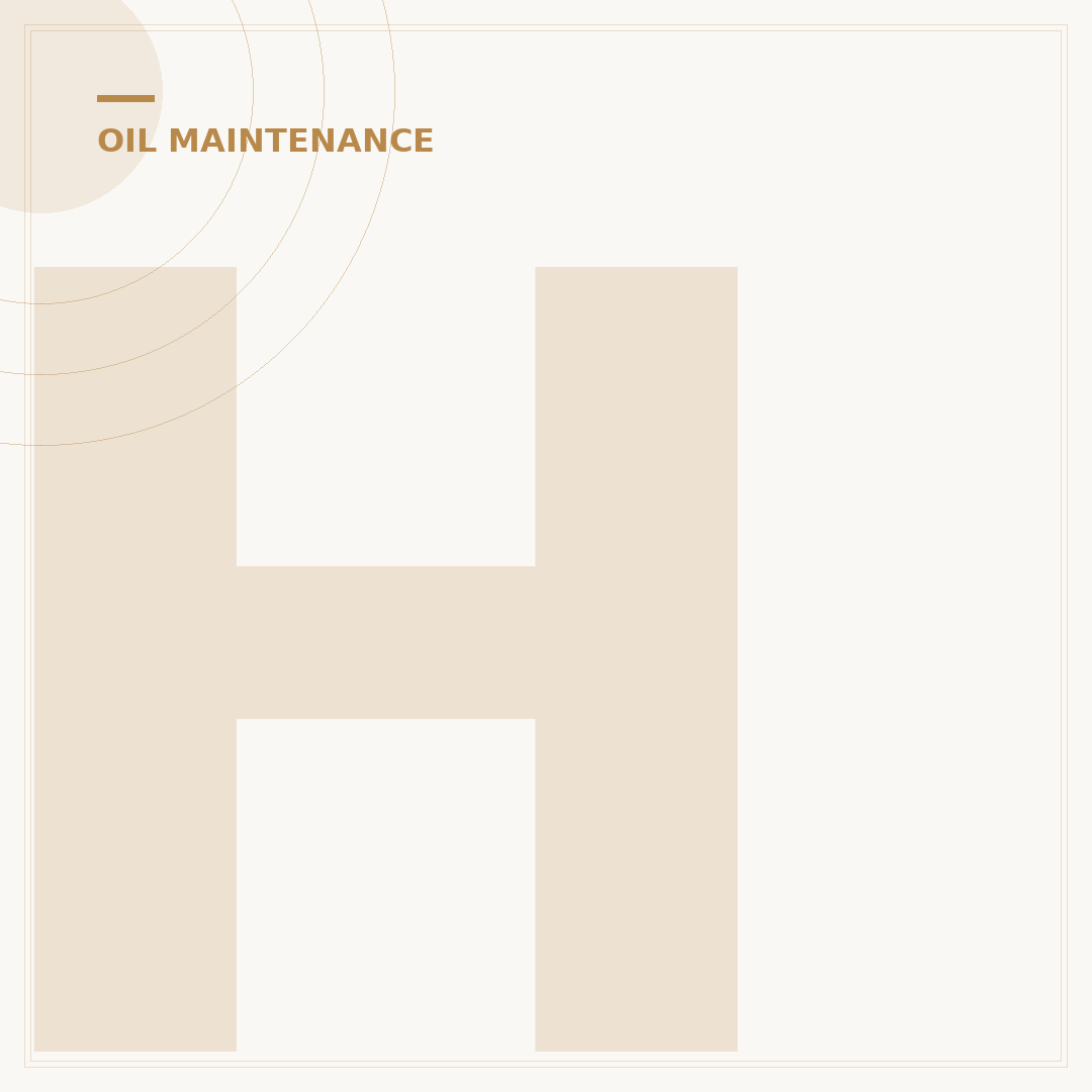 Honda Lawn Mower Oil Filter: Your 2024 Essential Maintenance Guide