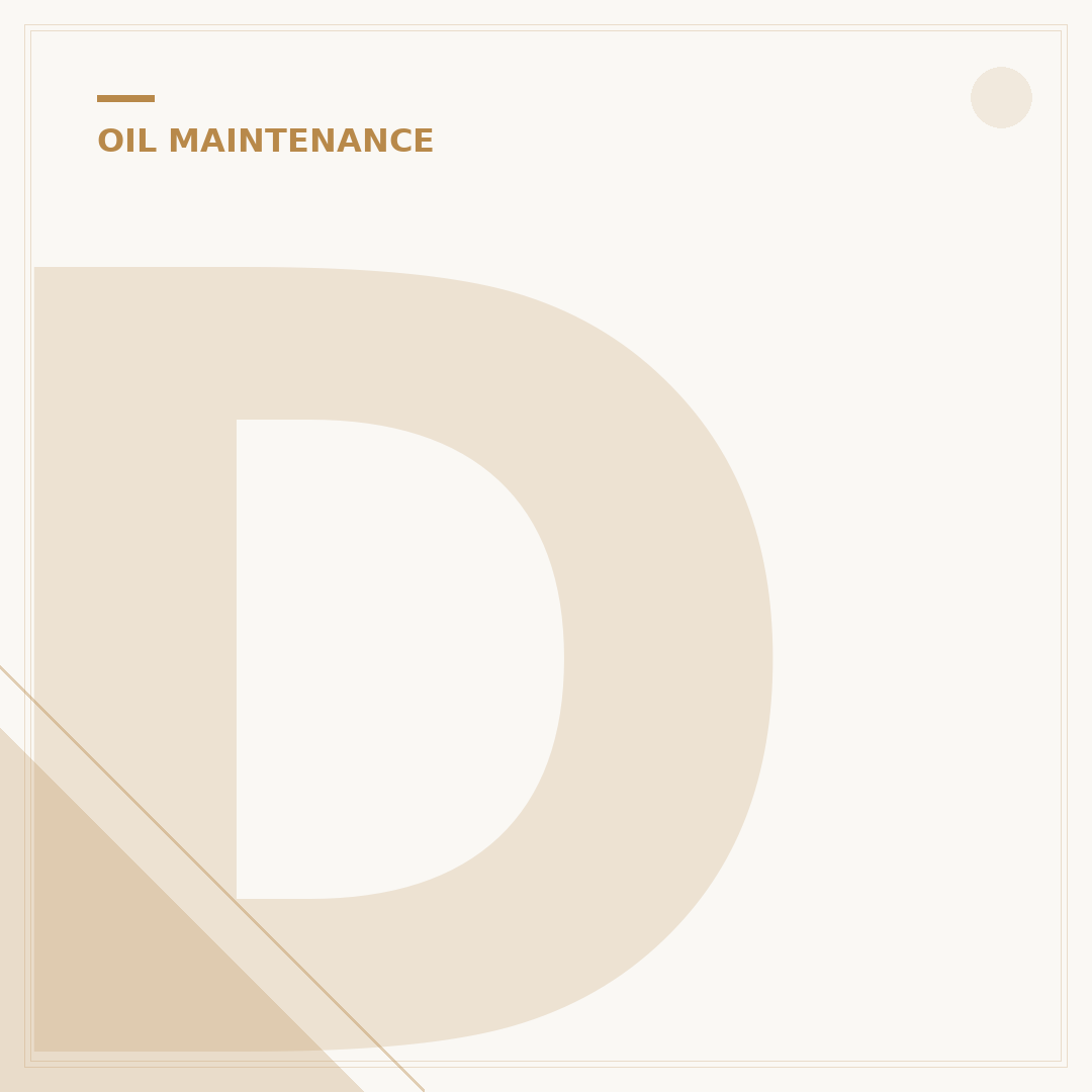 Does Jiffy Lube Change Oil Filter? 5 Key Facts