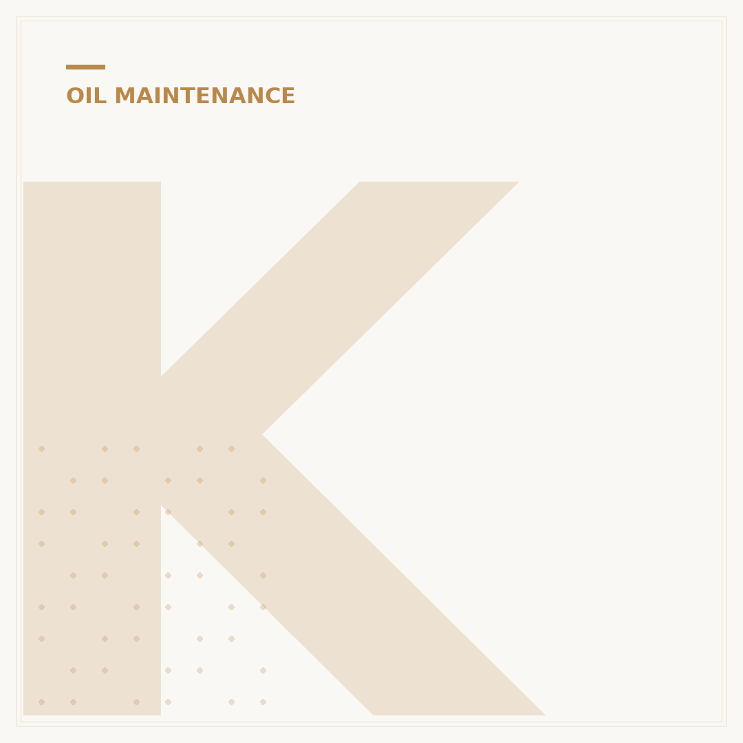 K&N KN303 Oil Filter: Ultimate Buyer's Guide & Reviews