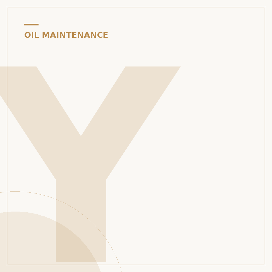 Your Lube Filter: 5 Steps to Engine Health