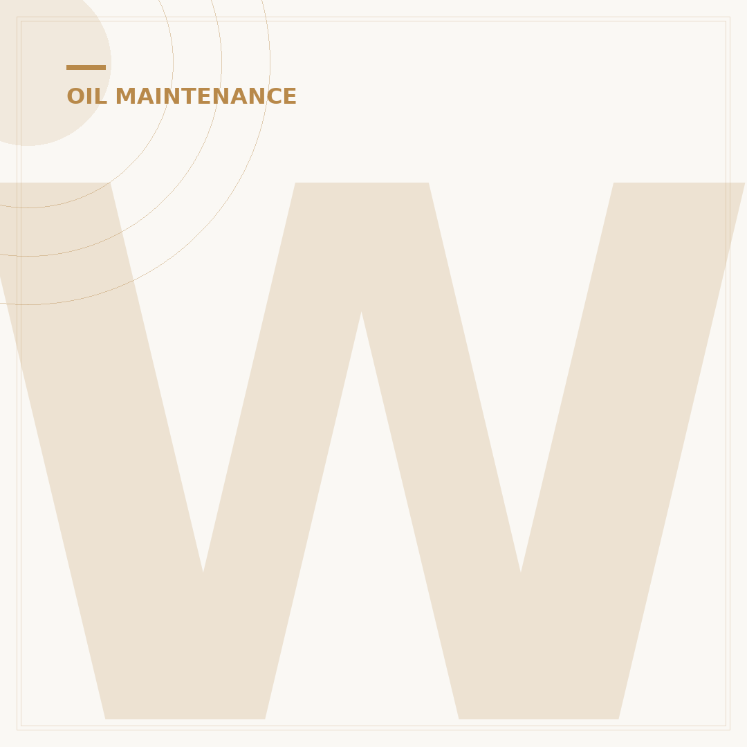 What Oil Does Mercedes Use? 5 Key Specs for Your Engine