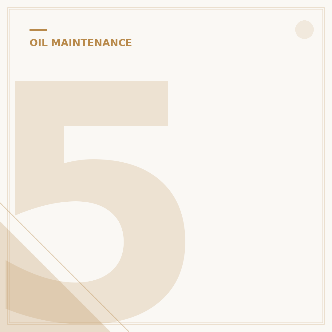 5 Signs Oil Coming Out of Air Filter & What to Do