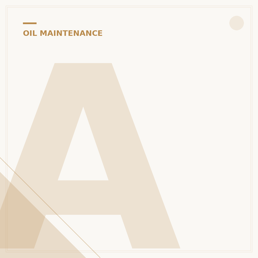 Air Compressor Oil Filter: 5 Signs You Need One