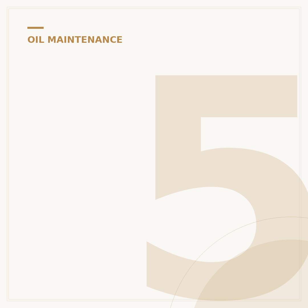 5 Best Tools to Take Off Oil Filter for DIYers