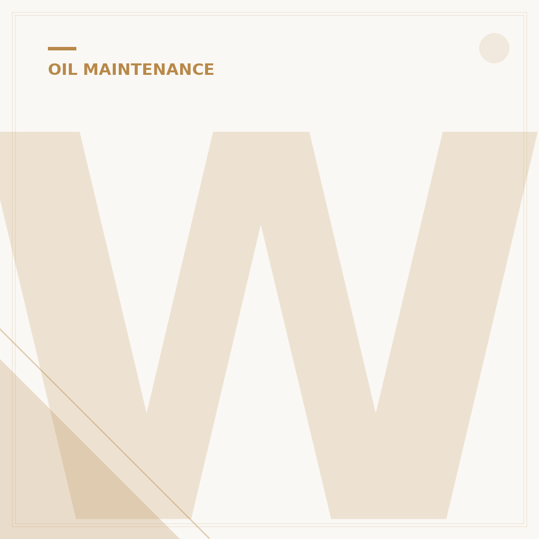What to Do With Old Oil Filters: 5 Green Disposal Options