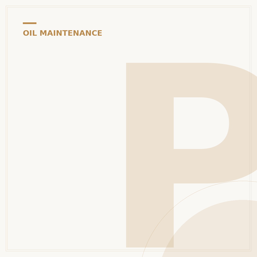 Prime Guard Oil Filter Catalog: 5 Specs to Match Your Car