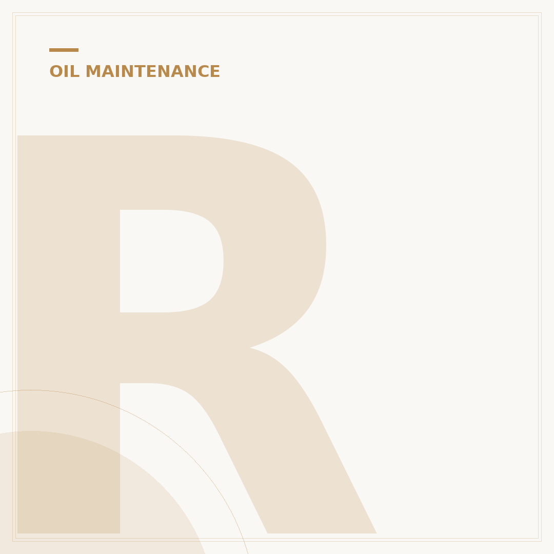 Reusable Oil Filter: Save Money & Your Engine