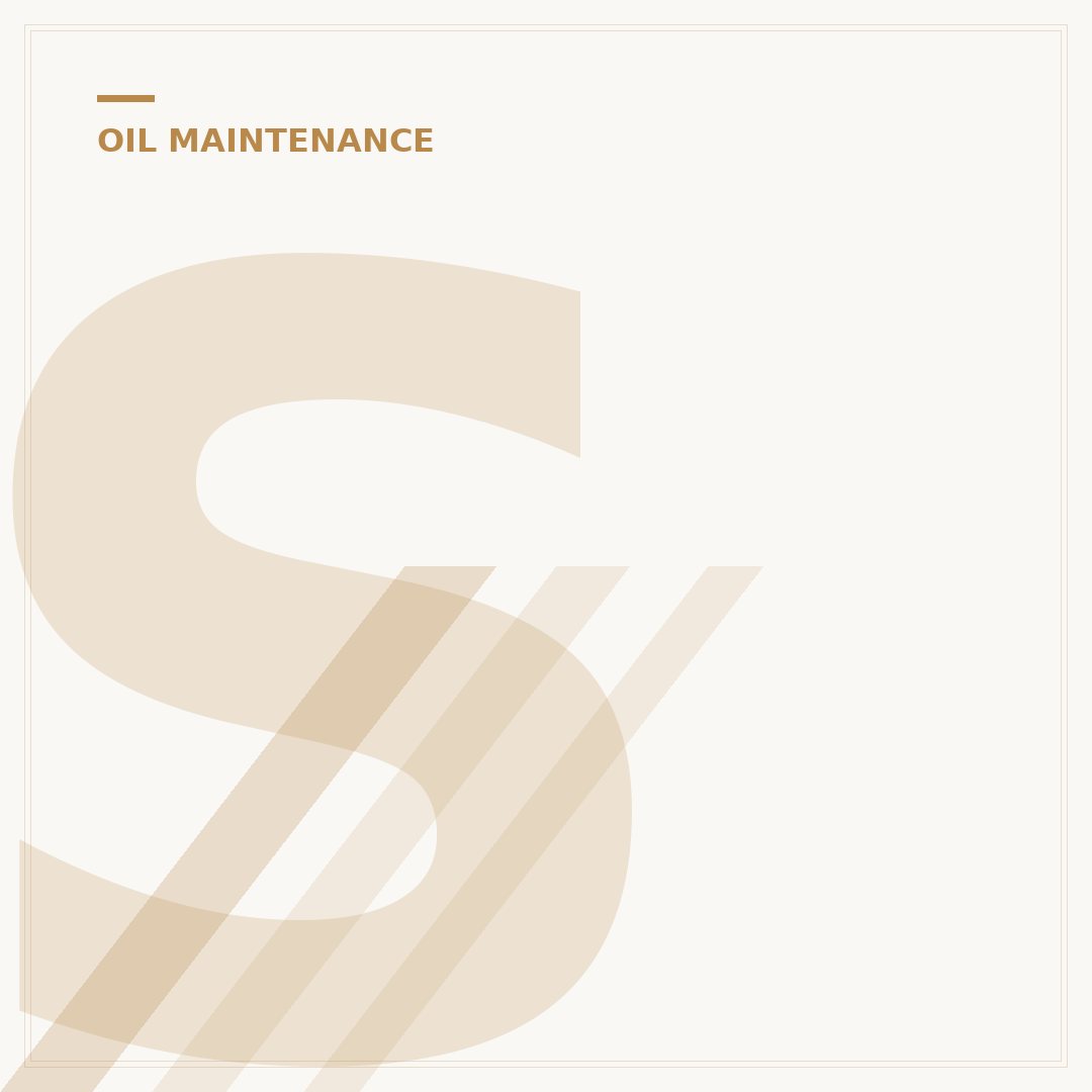 Steering Oil Filter: 1 Simple Part Your Car Needs