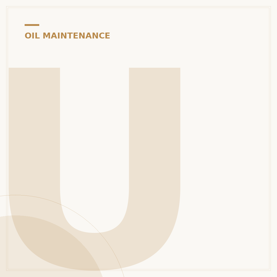 Universal Oil Filter Removal Tool: Your 1st Step to DIY Oil Changes