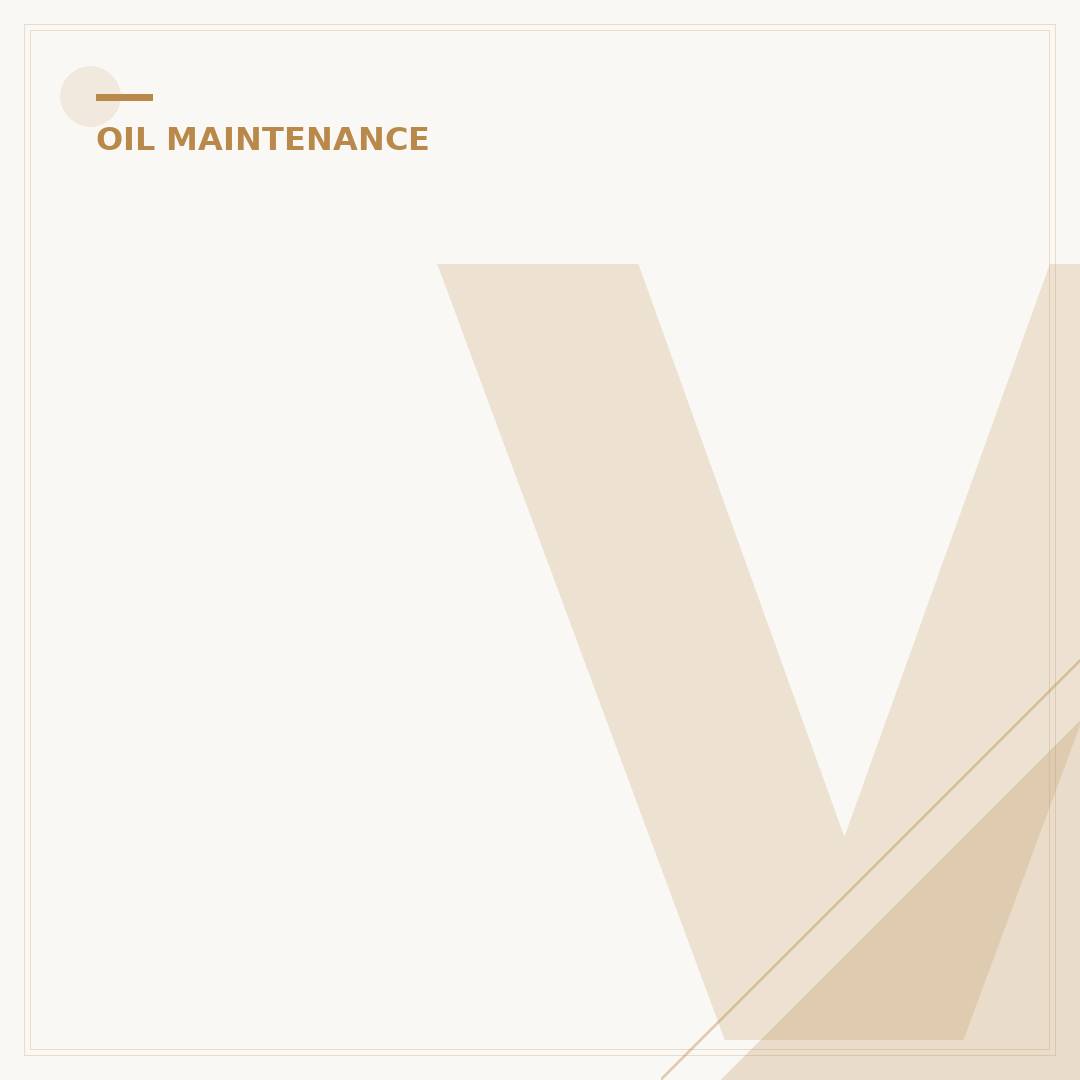 Valvoline Oil Change: Does It Include A New Filter? 1 Benefit