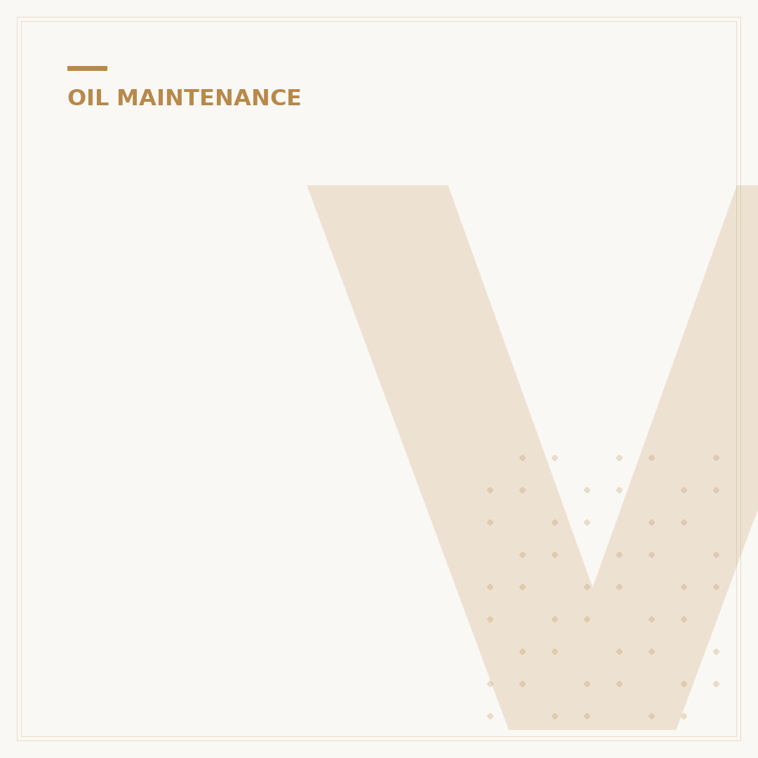 Volkswagen Jetta Oil Filter: 5 Signs It Needs Replacing