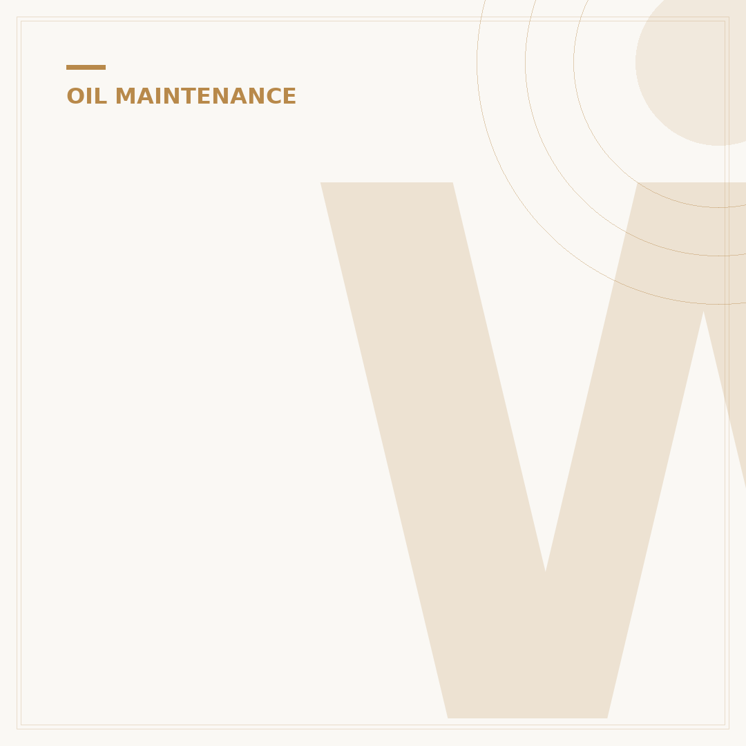 When to Put Oil in Your Car: 5 Signs It's Time