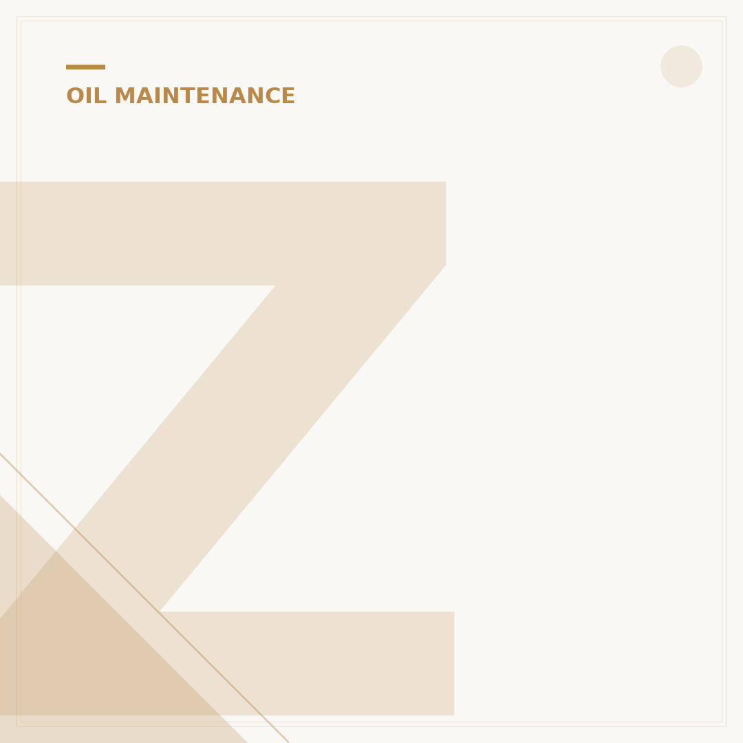 ZDDP Engine Oil Additive: 5 Benefits for Older Engines