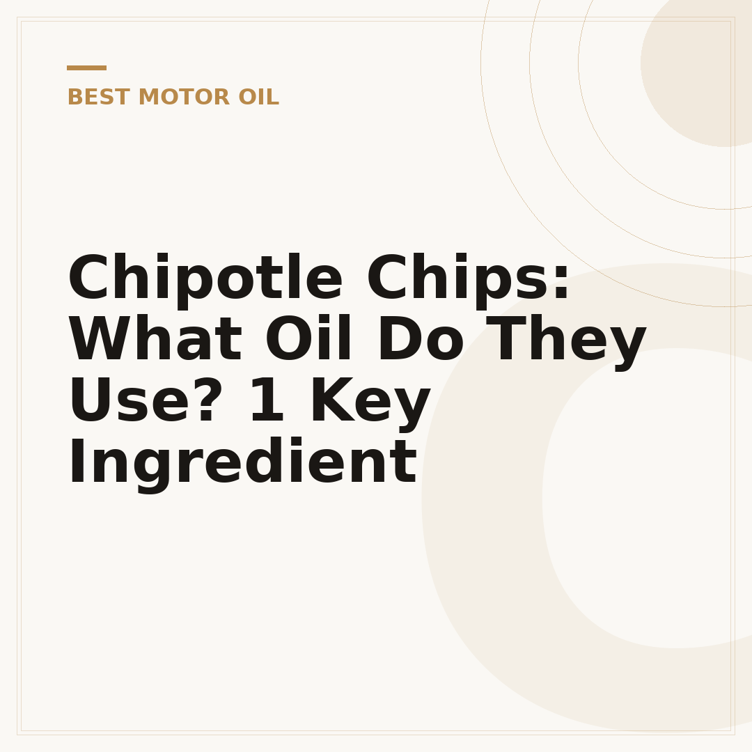 Chipotle Chips: What Oil Do They Use? 1 Key Ingredient