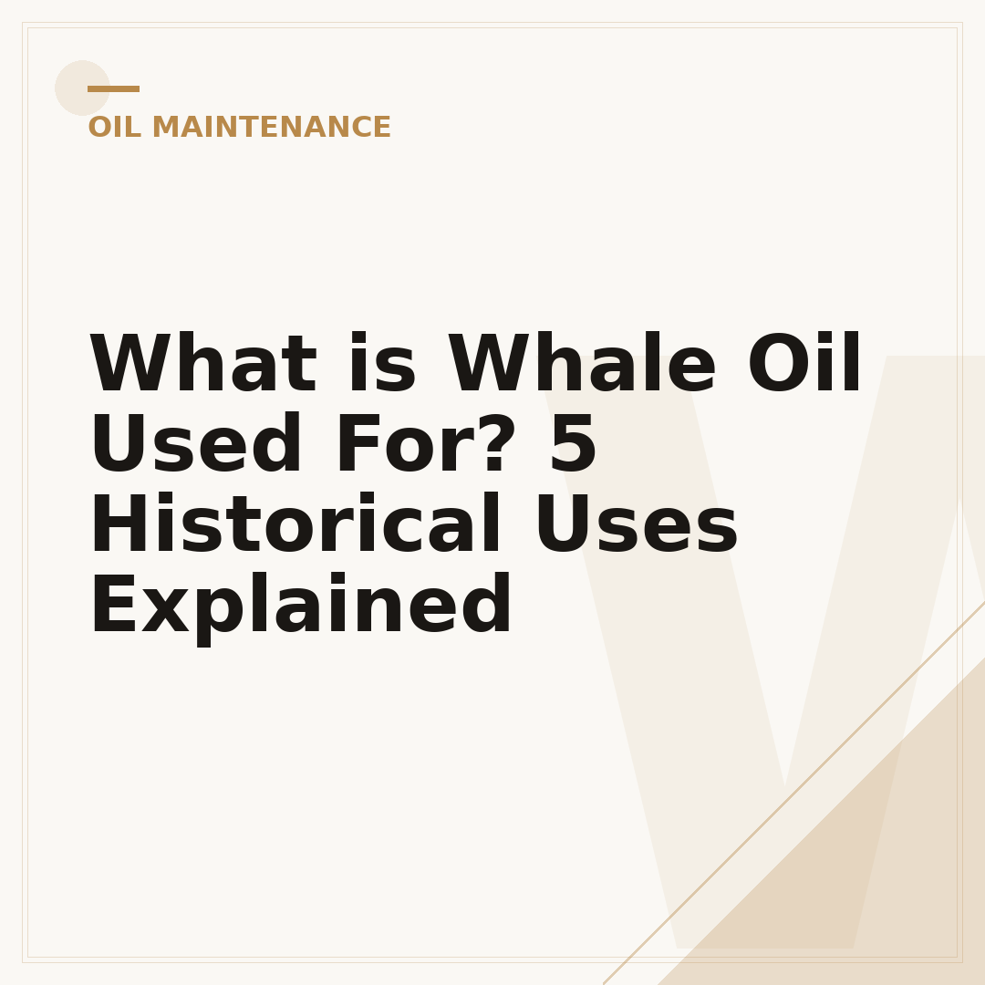 What is Whale Oil Used For? 5 Historical Uses Explained