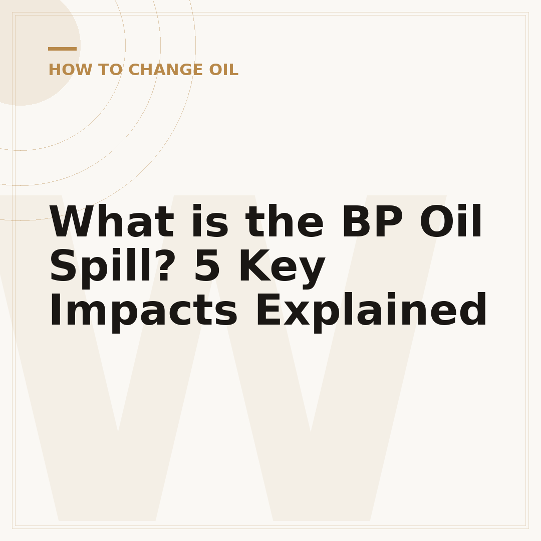 What is the BP Oil Spill? 5 Key Impacts Explained
